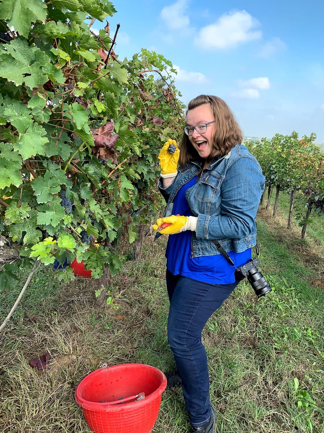 Jennifer Doré Dallas, créatrice de Moi, mes souliers, dans les vignes.